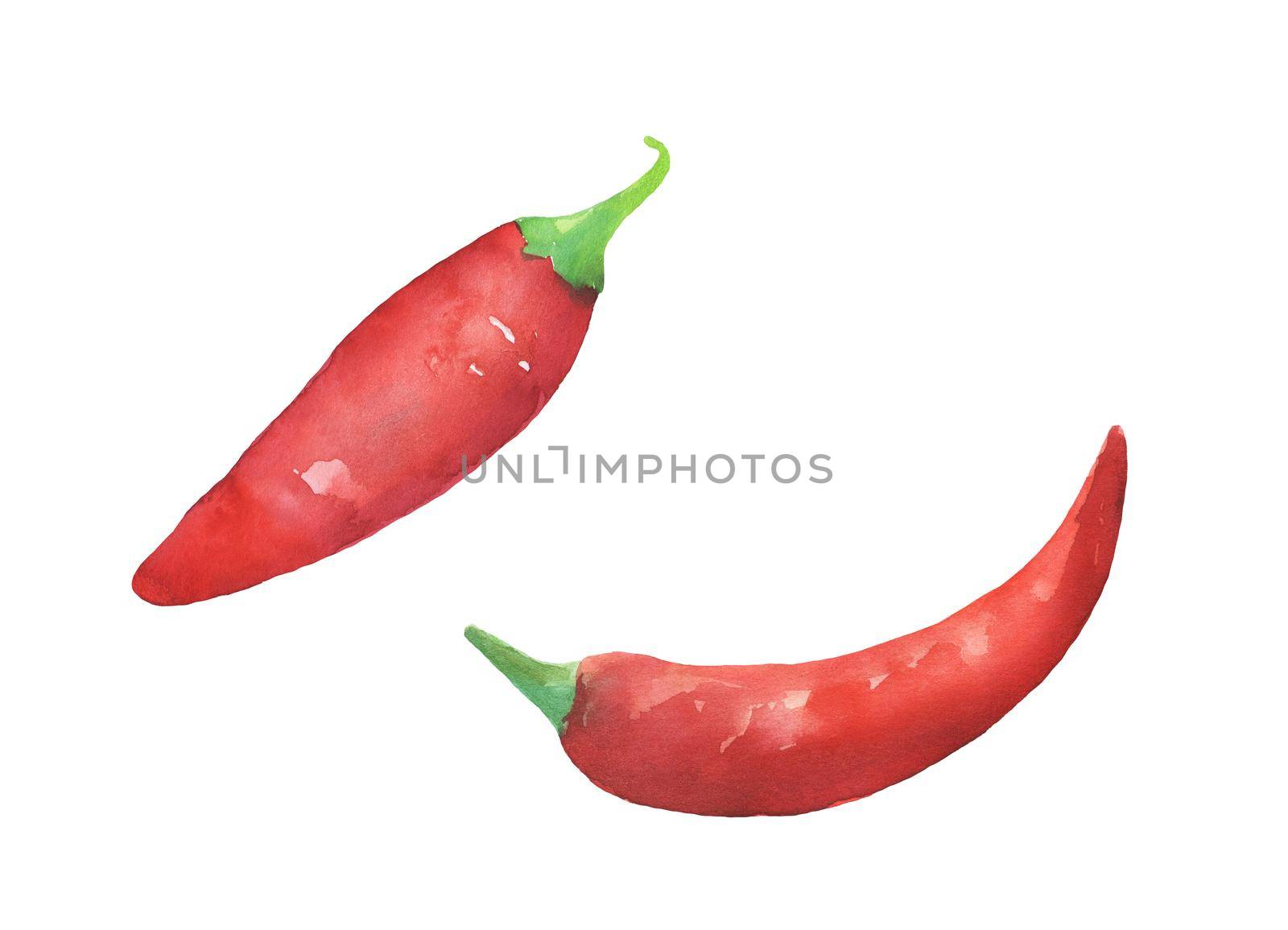 Red hot chili peppers set. Hand drawing watercolor sketch isolated on white