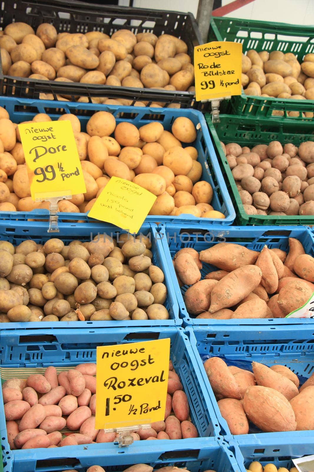 Fresh harvested potatoes on a market stall (text on tags: names and prices of various potatoes in Dutch, prices for various weight packages, all new harvest)