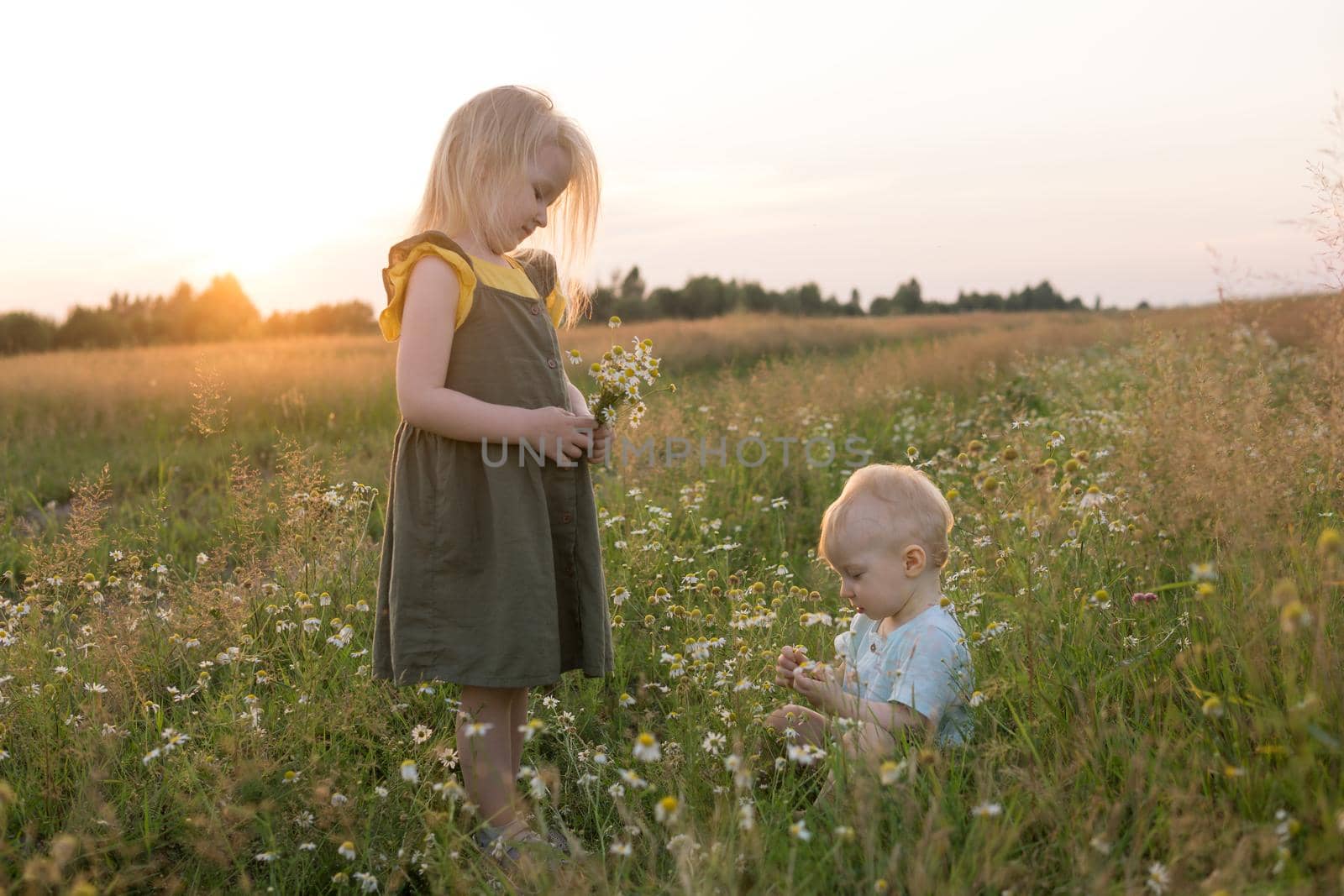 A little boy and a girl are picking flowers in a chamomile field. The concept of walking in nature, freedom and a healthy lifestyle. by Annu1tochka