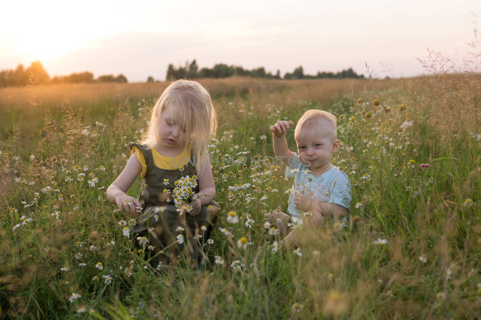 A little boy and a girl are picking flowers in a chamomile field. The concept of walking in nature, freedom and a healthy lifestyle.