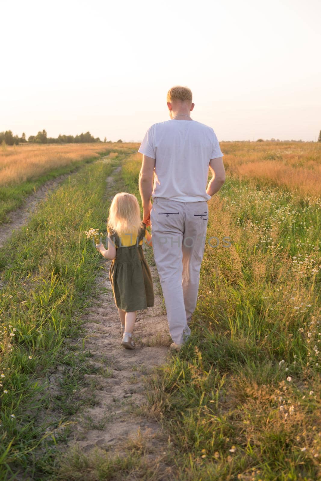 Dad and his blonde daughter are walking and having fun in a chamomile field. by Annu1tochka