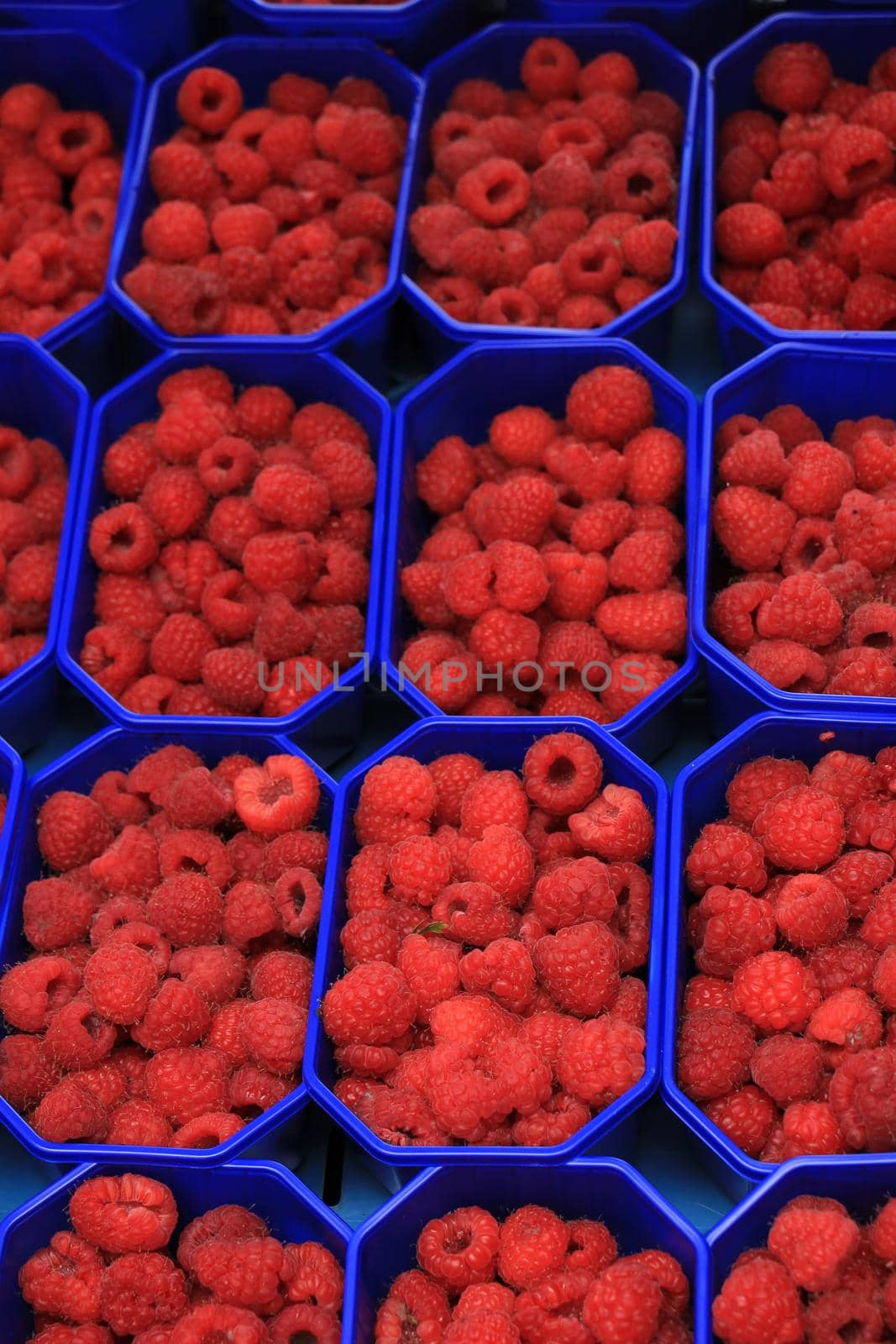 Raspberries in small boxes on a market stall by studioportosabbia