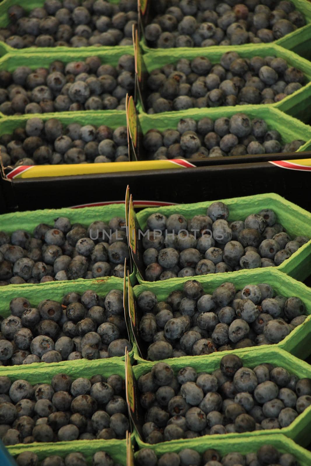 Blue berries in small boxes on a market stall