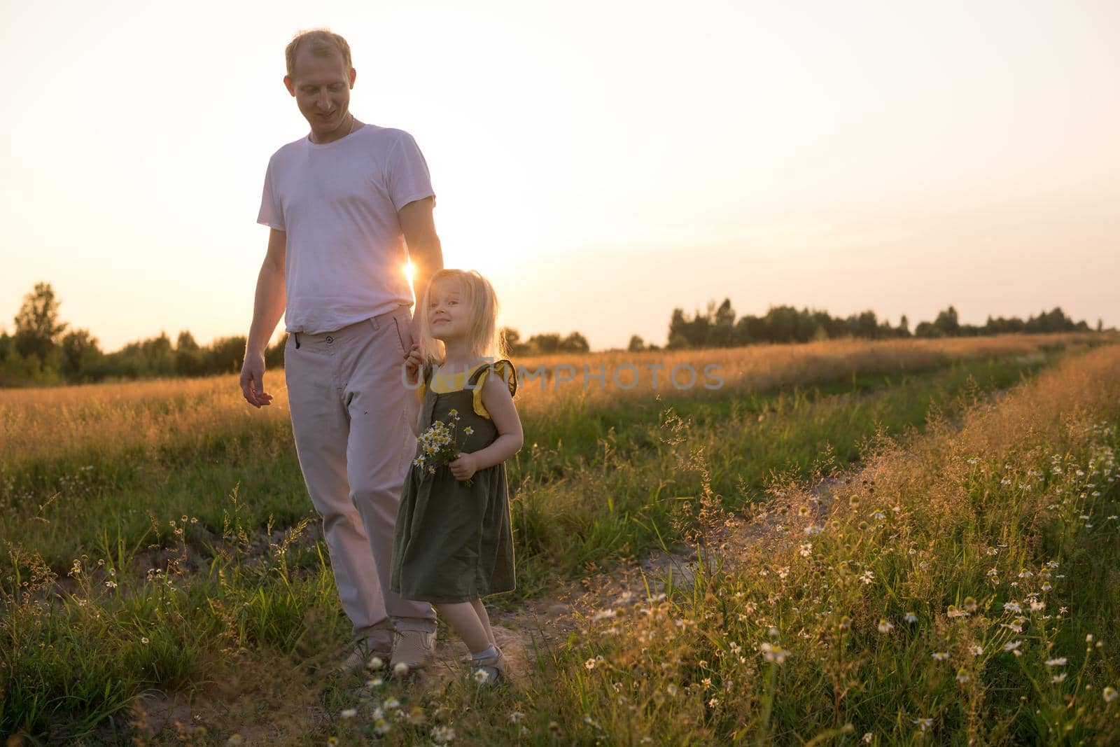 Dad and his blonde daughter are walking and having fun in a chamomile field. by Annu1tochka