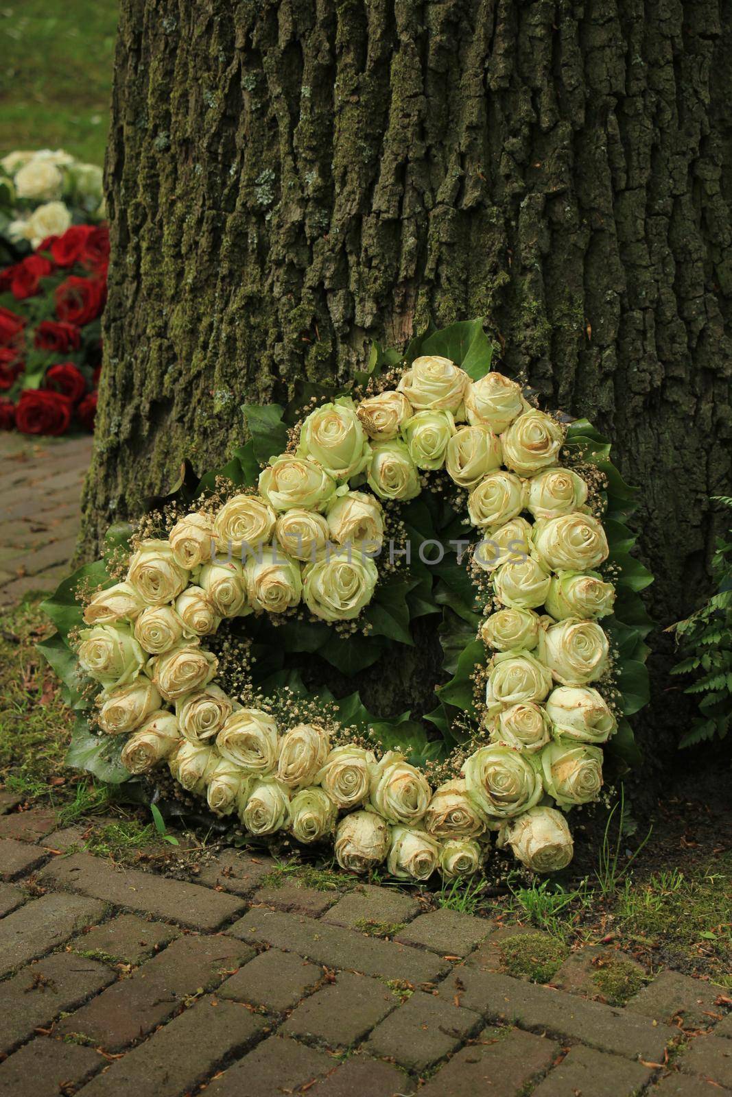 Heart shaped sympathy flowers  or funeral flowers near a tree, white roses