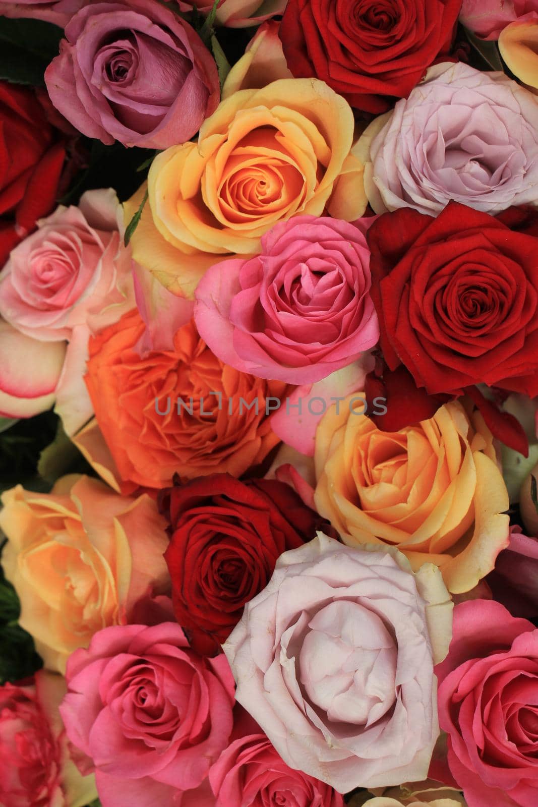 Colorful wedding roses in a floral wedding decoration