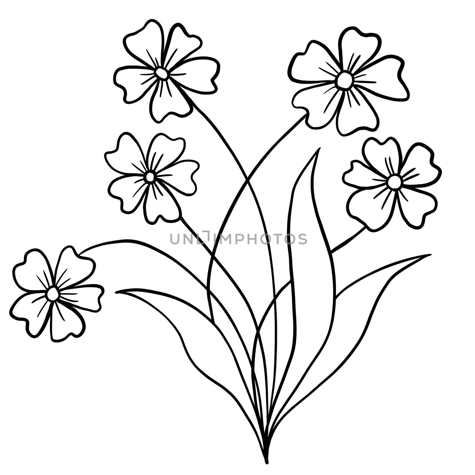 Hand drawn floral flower leaves illustration, black white elegant wedding ornament, Line art minimalism tatoo style design summer spring nature branch foliage blossom. by Lagmar
