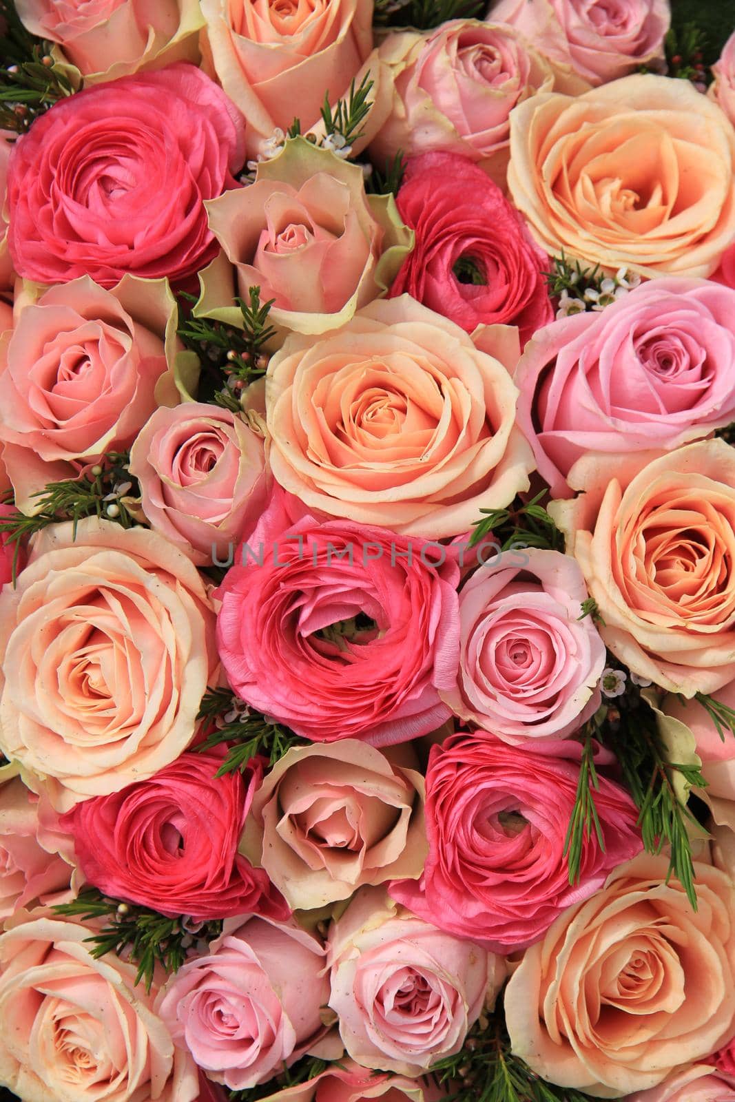 Pink roses and peonies in a mixed bridal bouquet