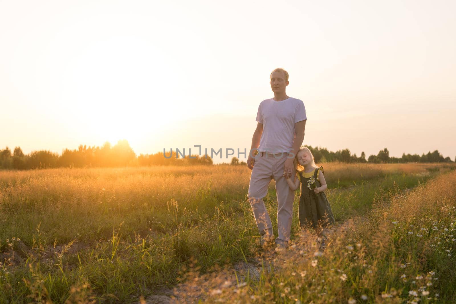 Dad and his blonde daughter are walking and having fun in a chamomile field. by Annu1tochka