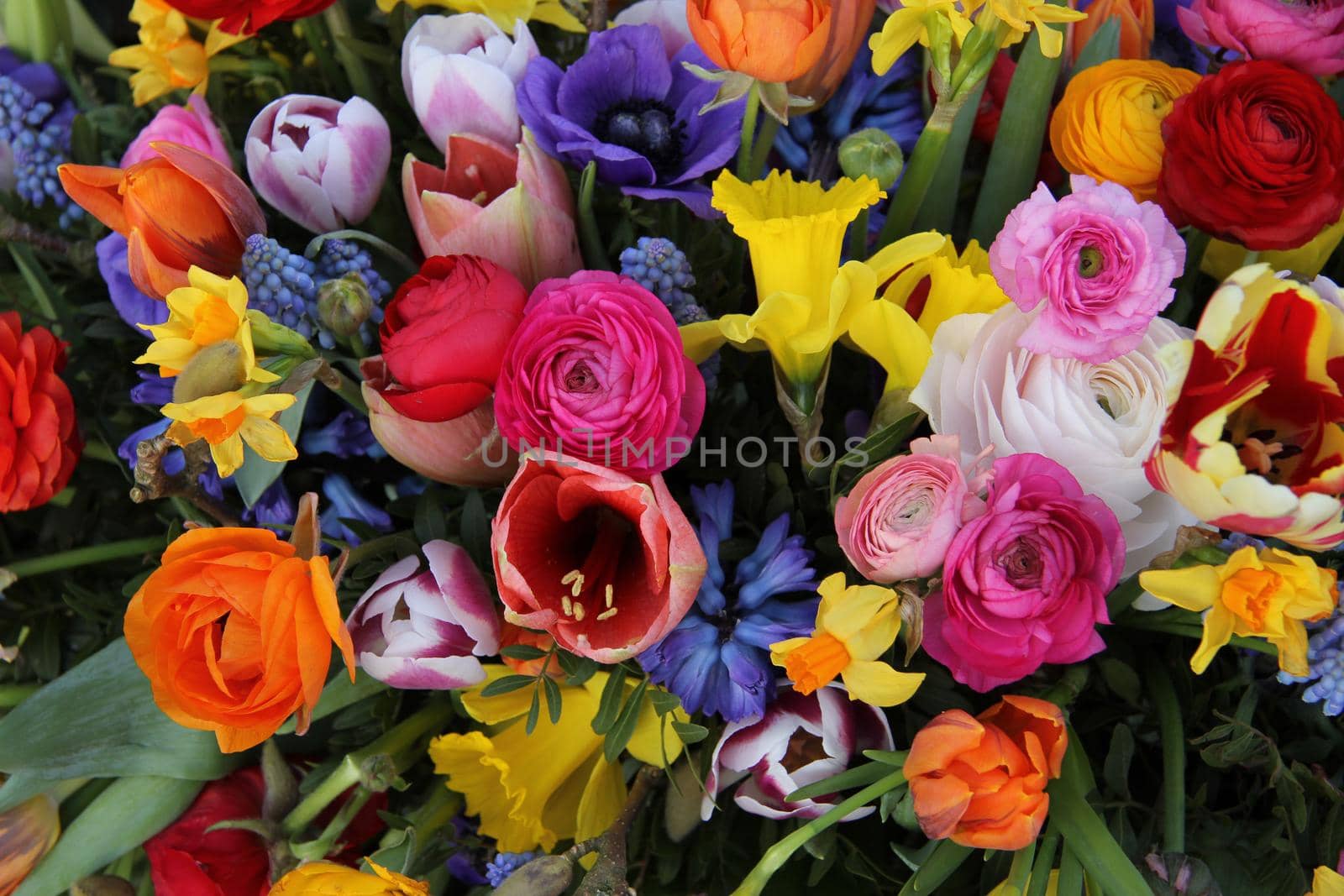 Spring flowers in bright colors by studioportosabbia