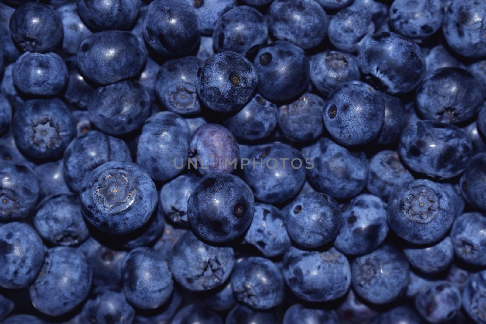 Close up view of freshly picked blueberries toned blue by VeekSegal