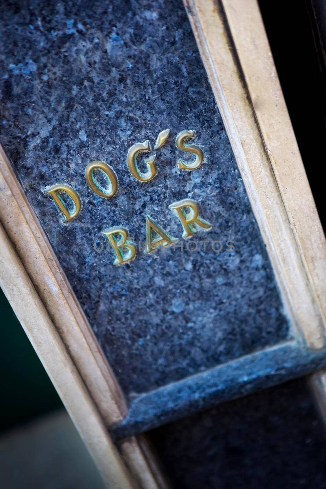 Facade of a dog bar in the city of Bordeaux, France