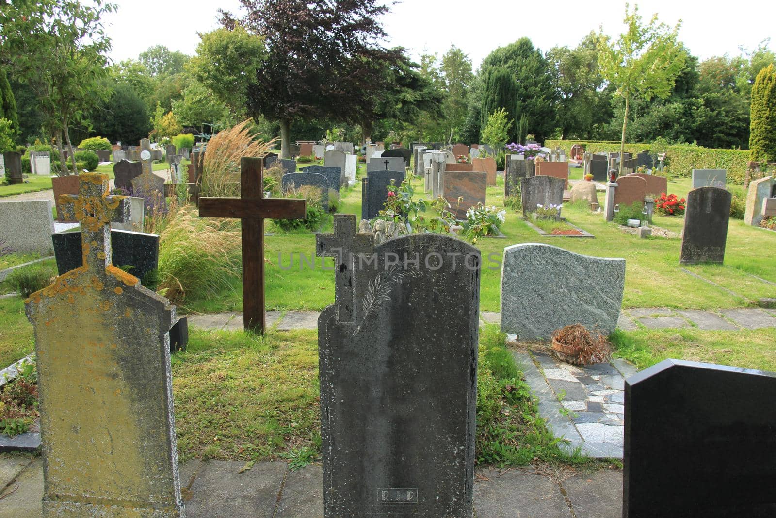 Tombstones on a cemetery in the Netherlands by studioportosabbia