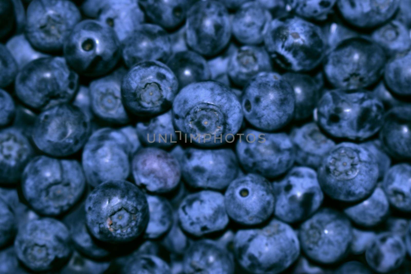 Blue toned fresh blueberry berries background pattern close up, top view