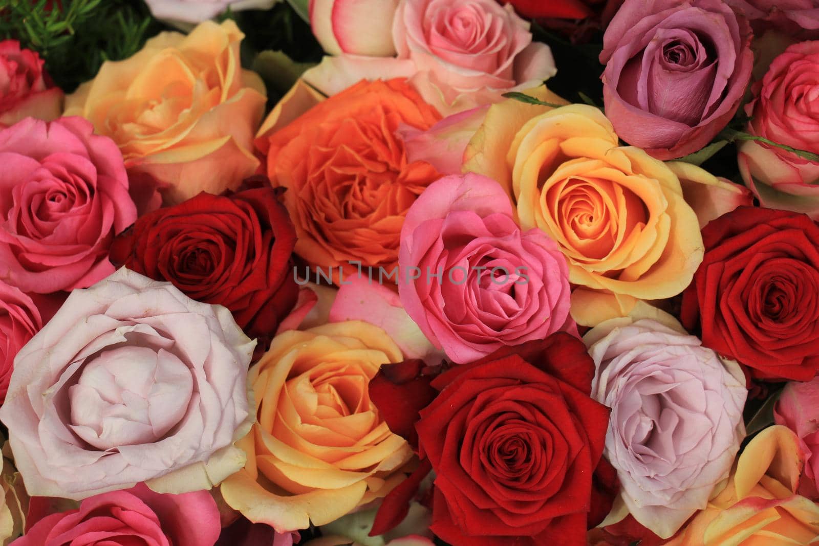 Colorful wedding roses in a floral wedding decoration by studioportosabbia