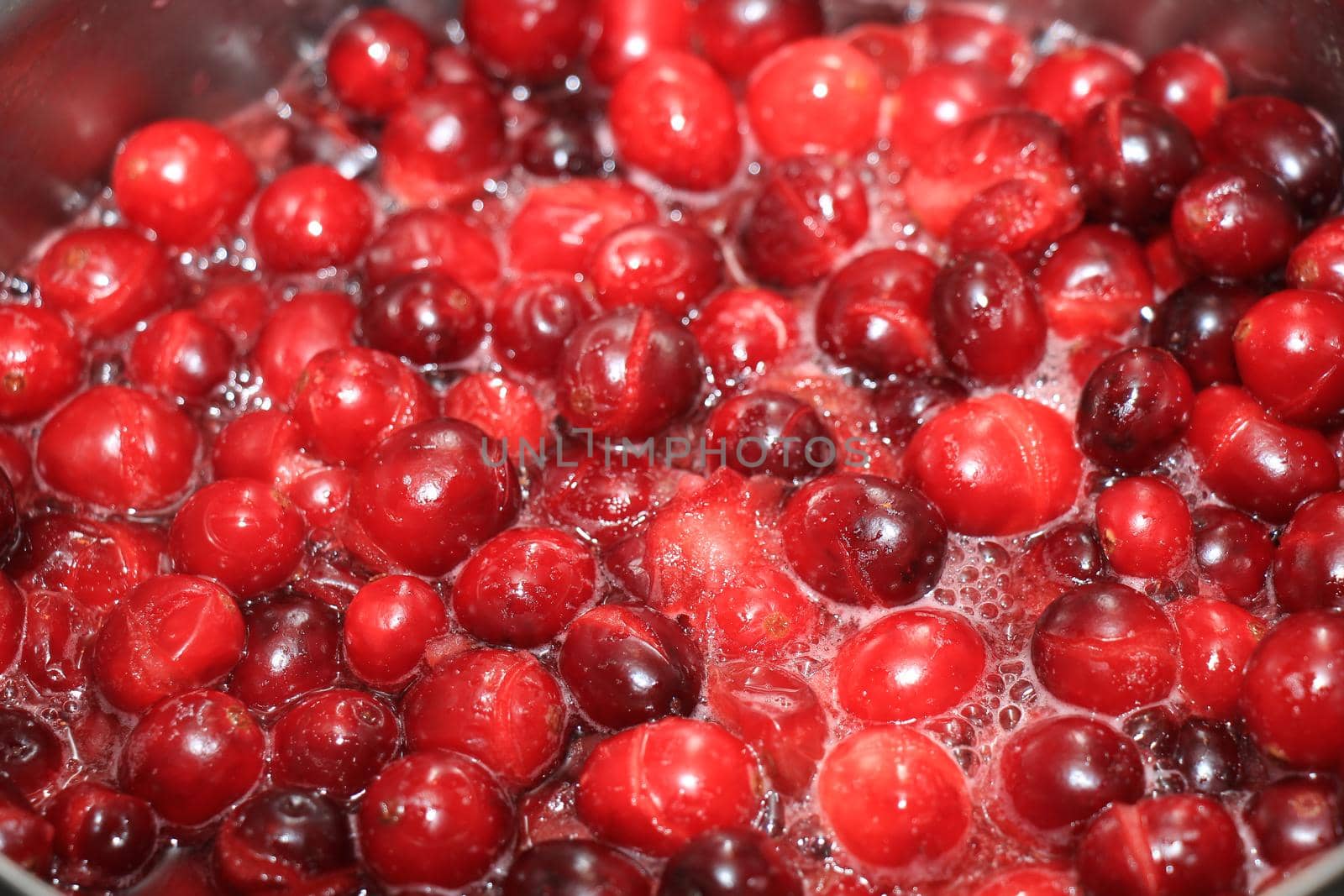 Preparing homemade cranberry sauce for thanksgiving or christmas