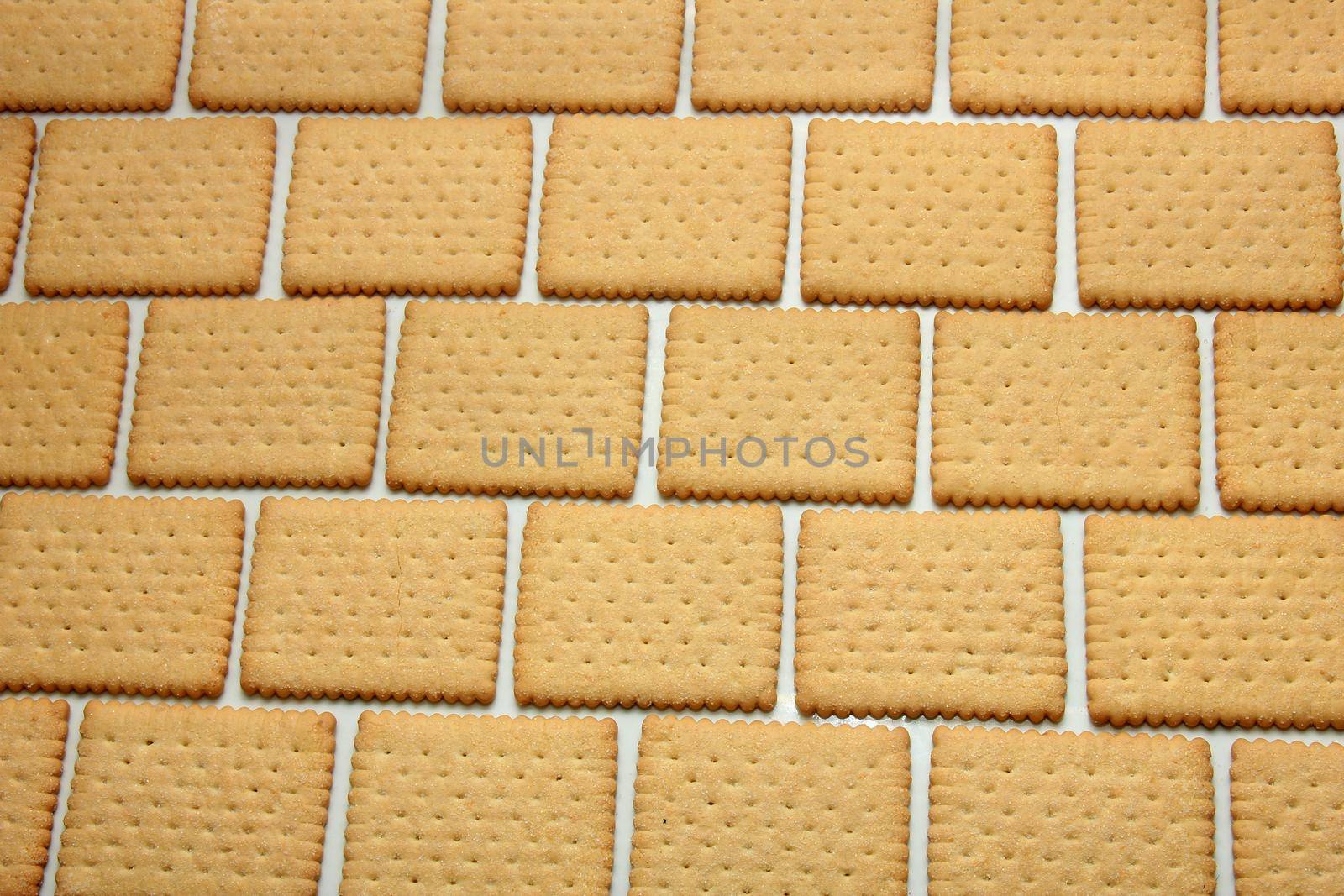 Plain biscuits in a brick pattern, cookie wall by studioportosabbia