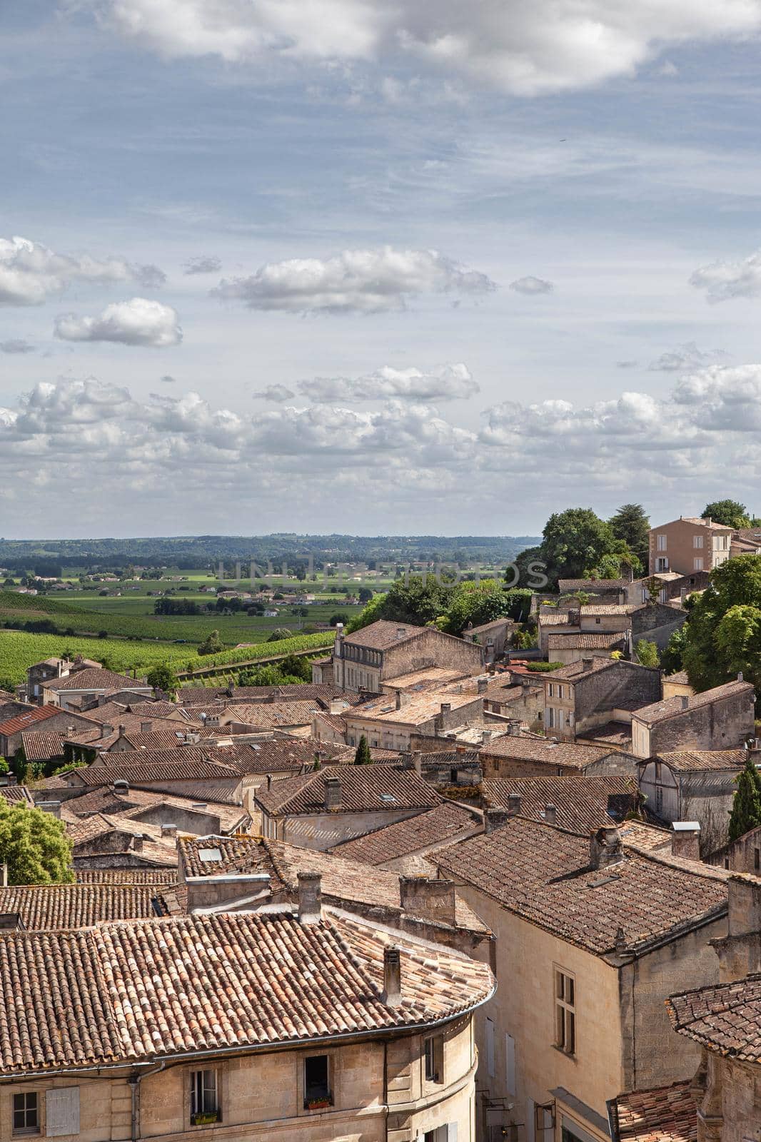 Aerial view of St Emilion in France