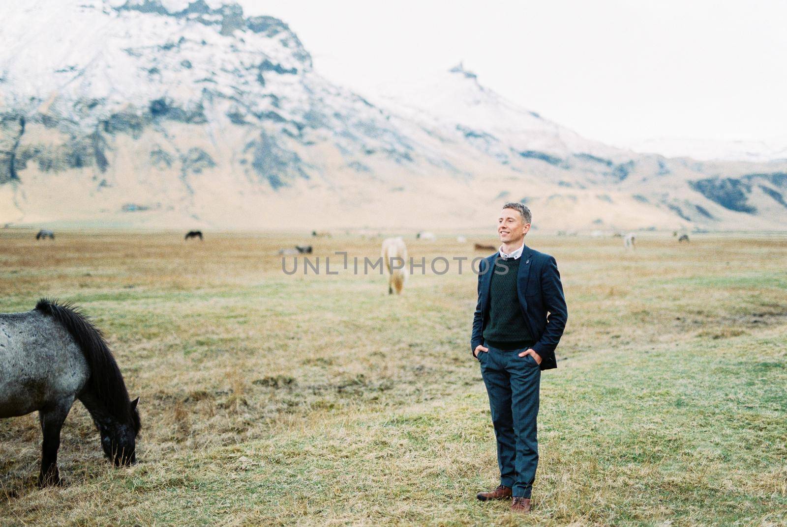 Man in a suit stands in a pasture among grazing horses. Iceland by Nadtochiy