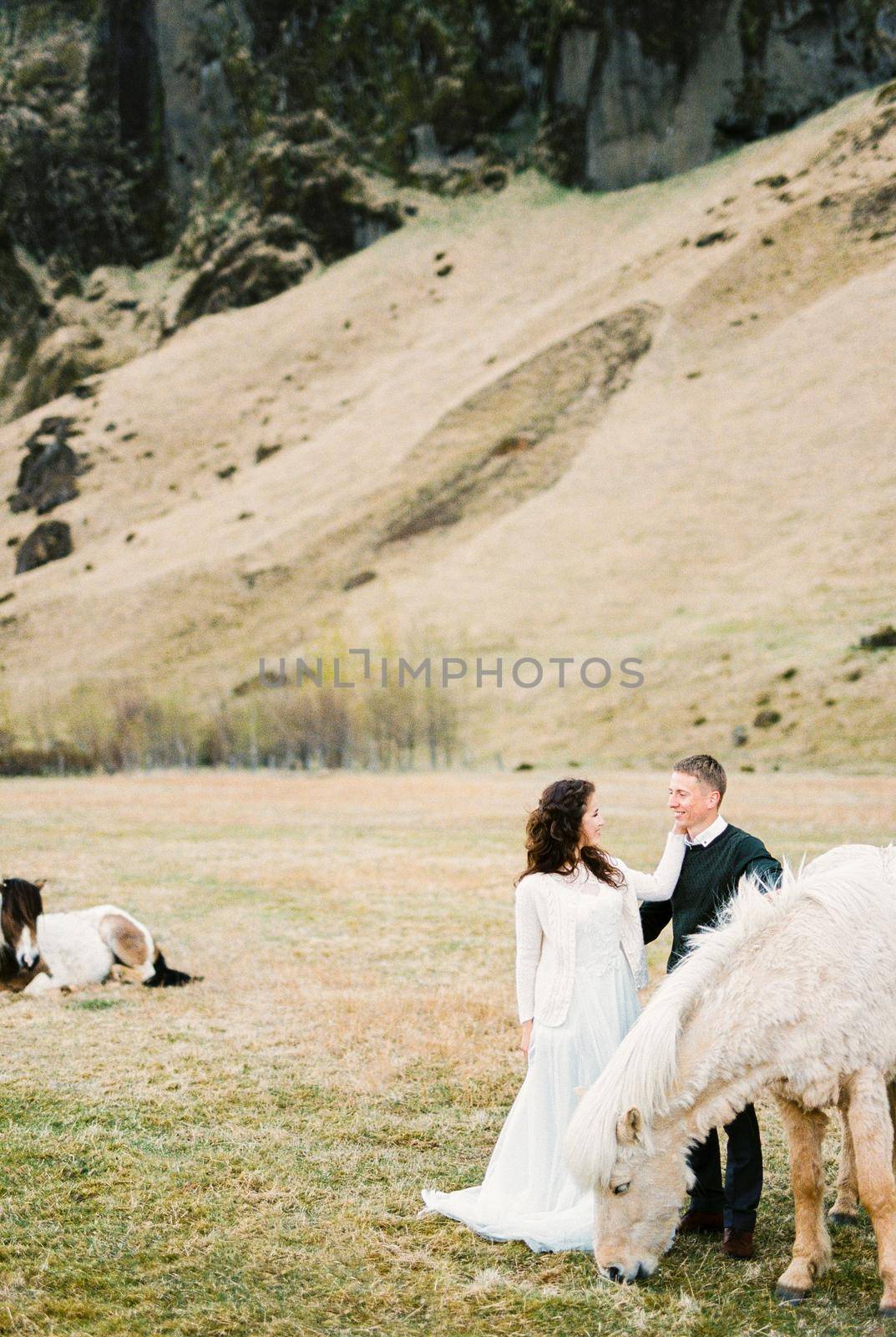 Groom and bride in a pasture among grazing horses. High quality photo