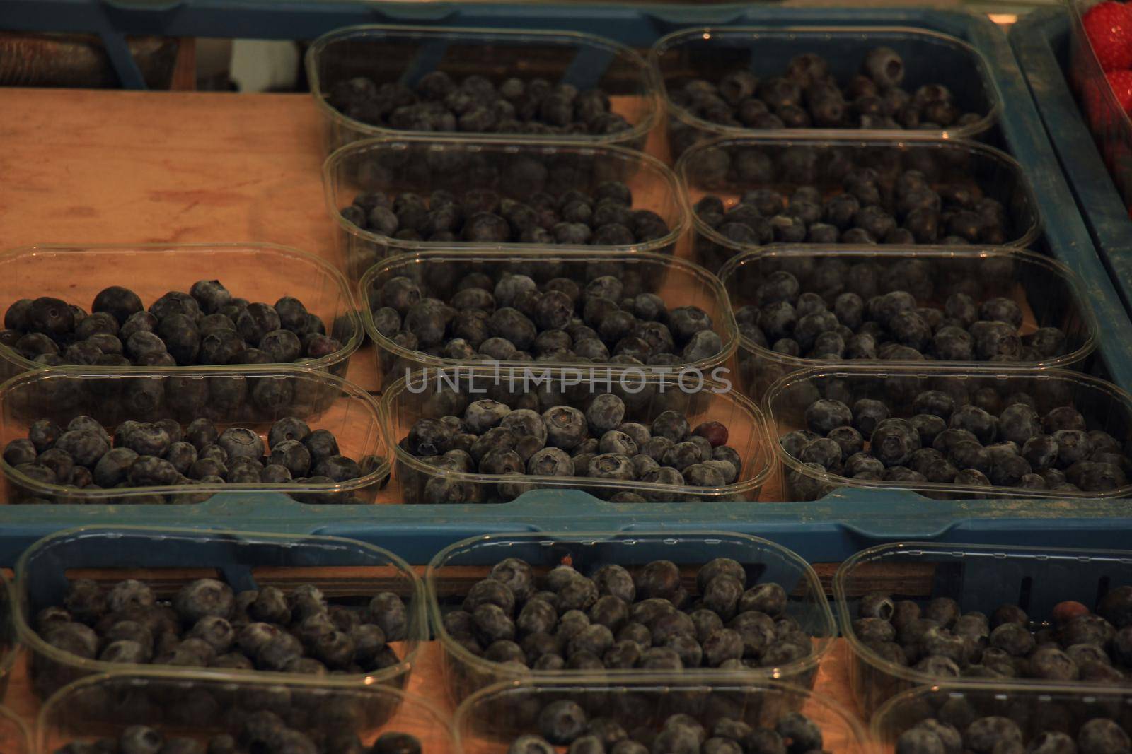 Blue berries in small boxes on a market stall