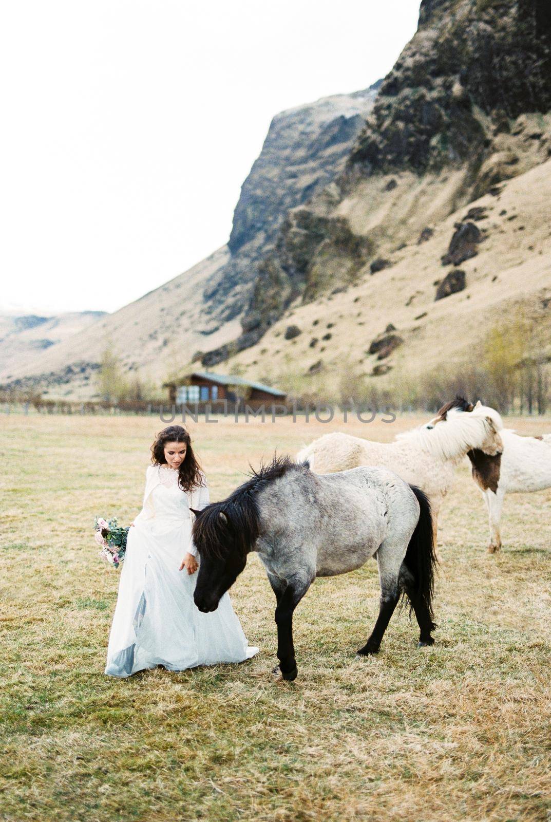 Bride with a bouquet stands near the horse in the pasture. High quality photo