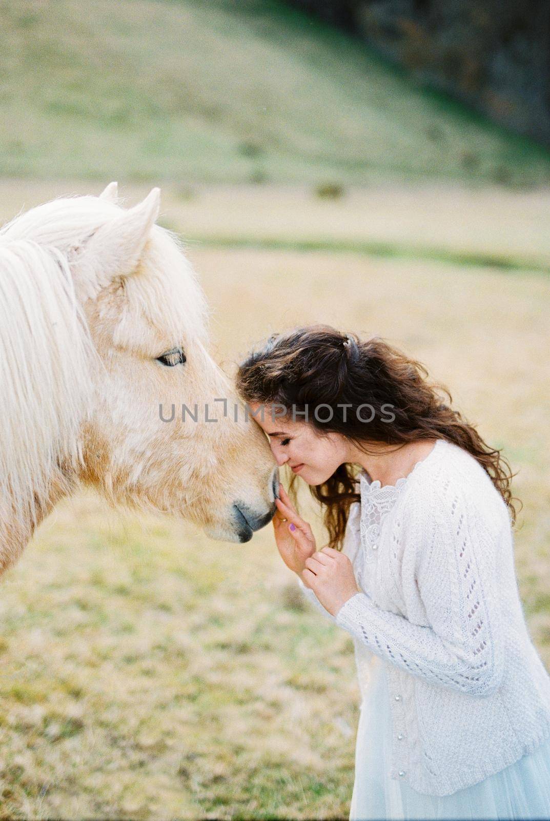 Bride touches her forehead to the muzzle of a white-red horse. Iceland. High quality photo