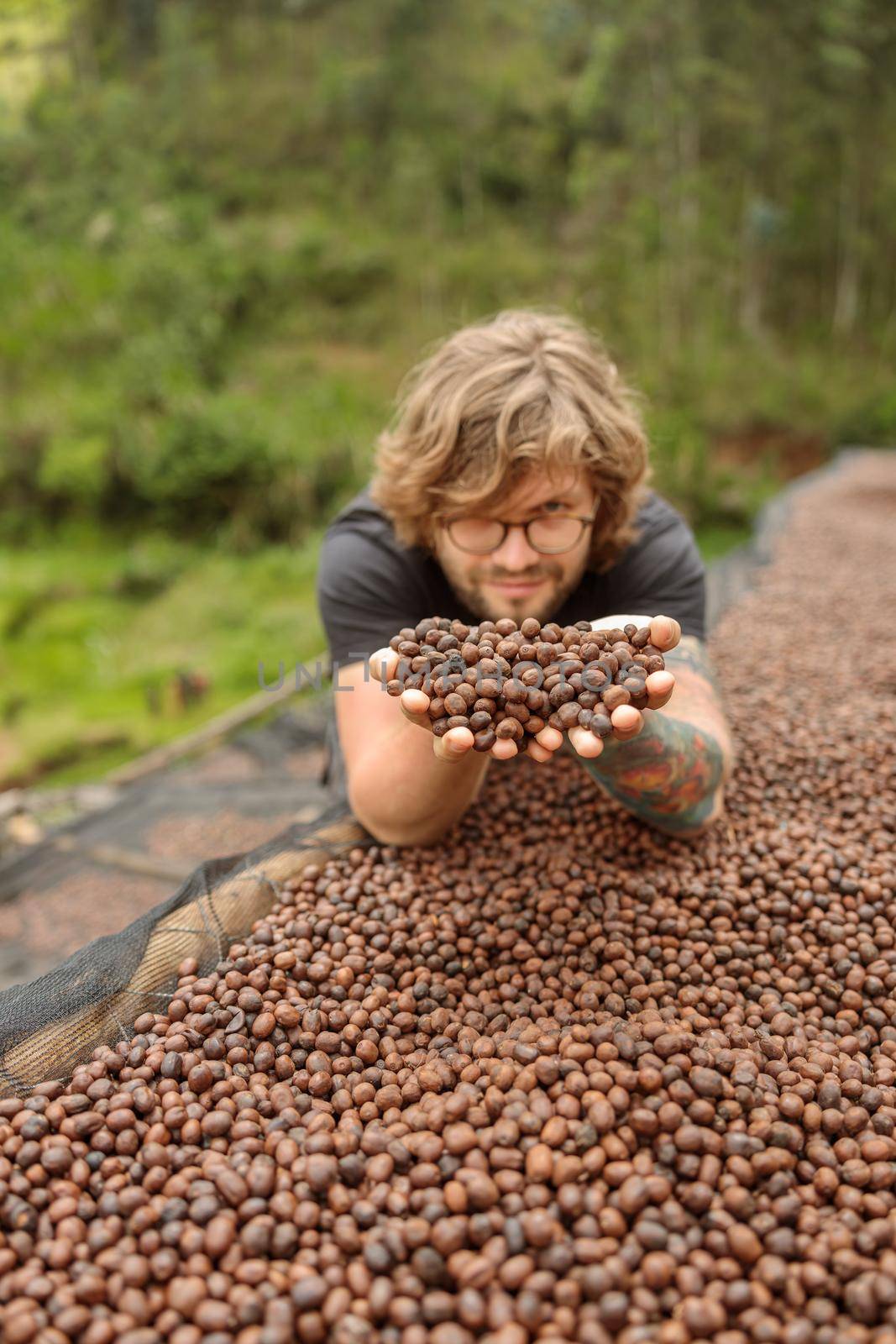 Smiling male traveler holding coffee beans during natural drying process