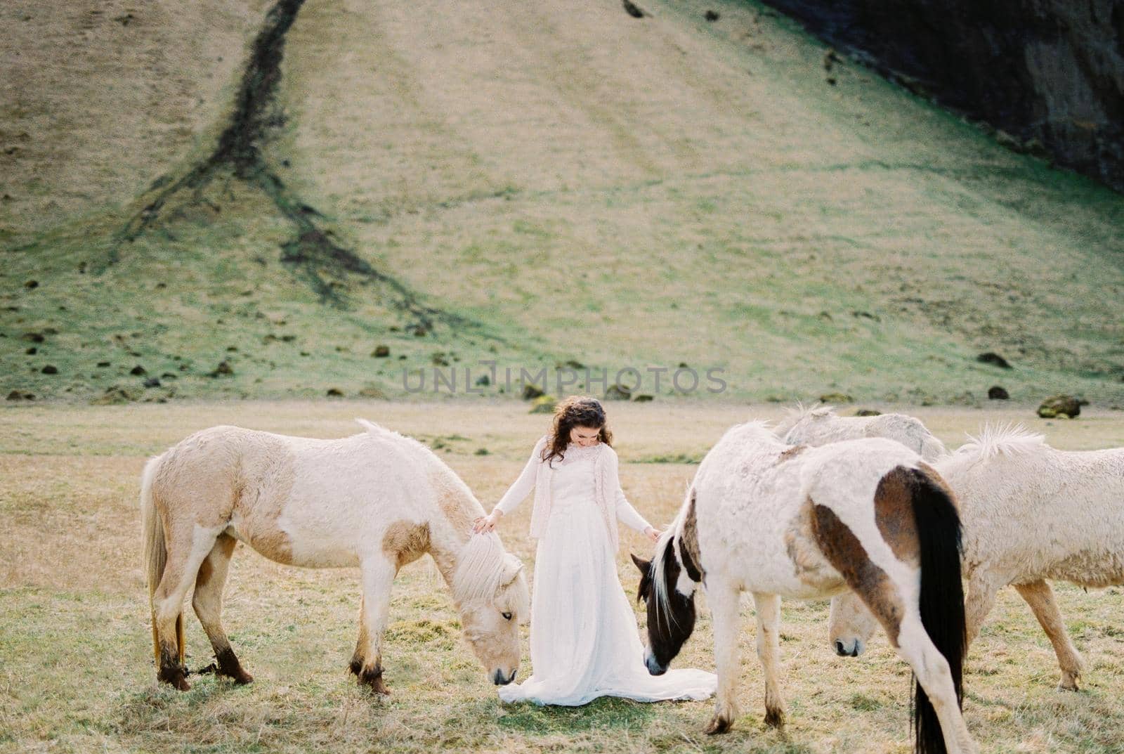 Bride in a white dress stands between the horses touching their manes with her hands. Iceland by Nadtochiy