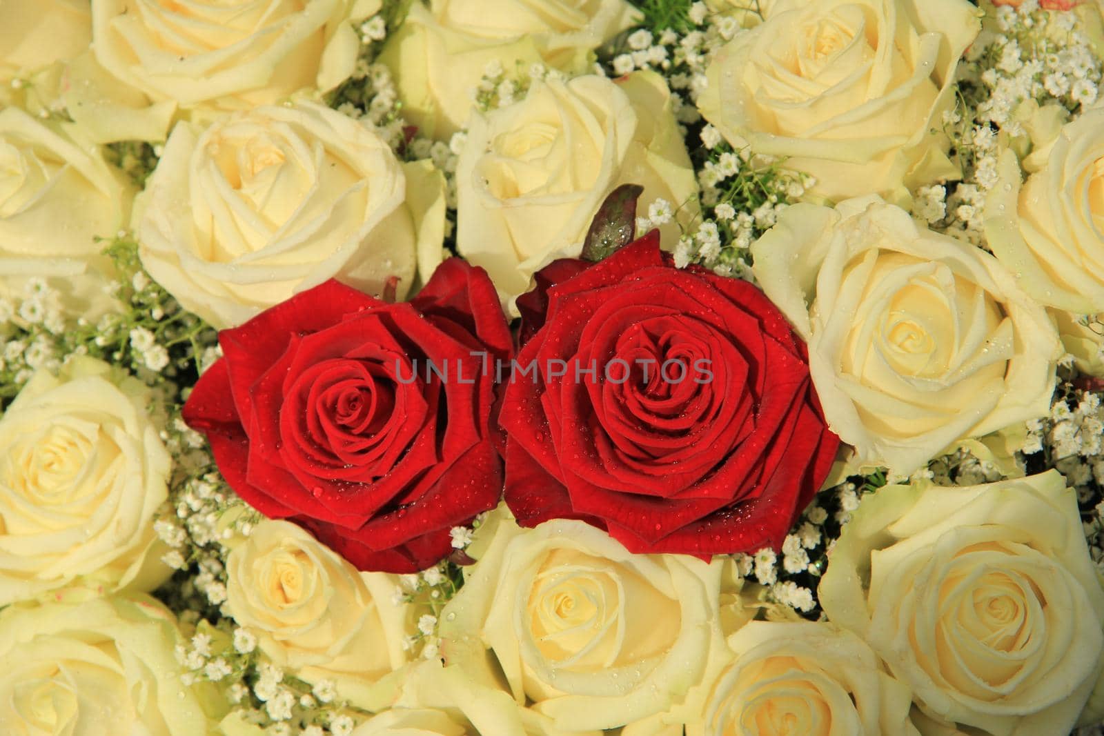 Red roses in a white rose bouquet