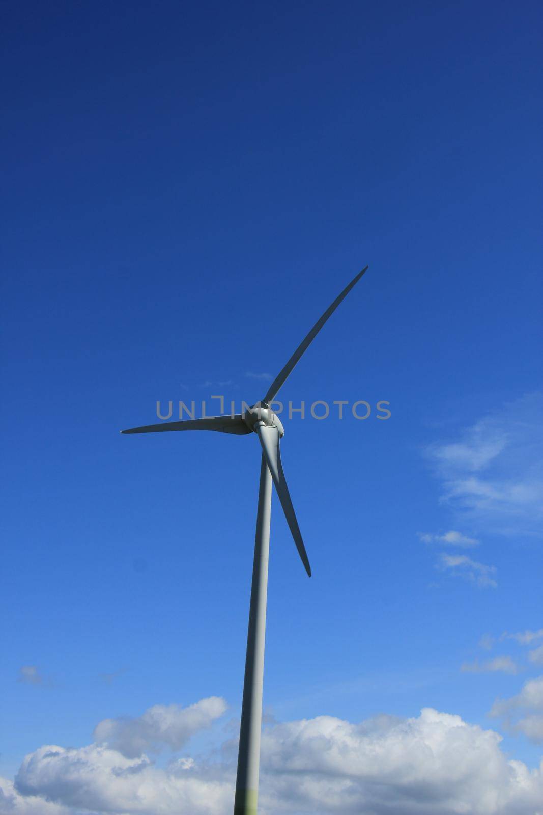 A Wind turbine generating electricity in a blue sky by studioportosabbia