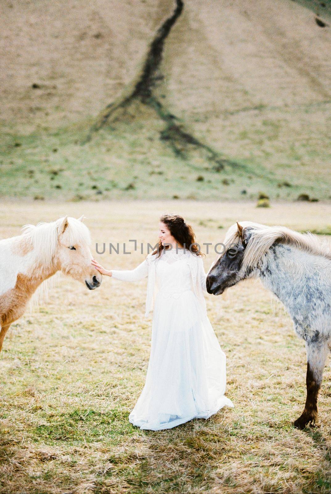 Bride strokes a red horse in the pasture. Iceland. High quality photo