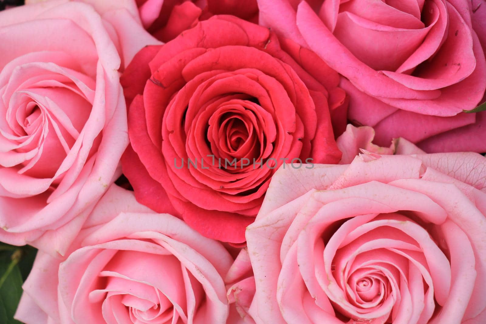 Big pink roses in a floral wedding arrangement by studioportosabbia