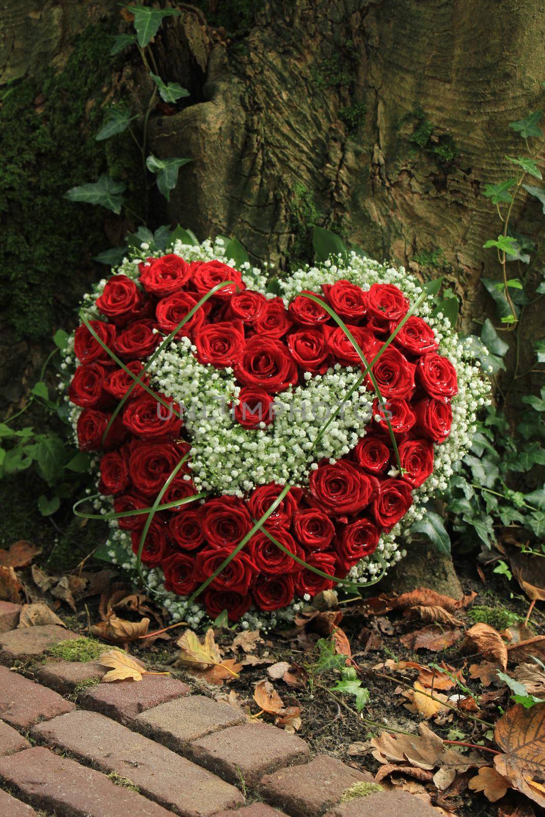 Heart shaped sympathy flowers  or funeral flowers near a tree, red roses