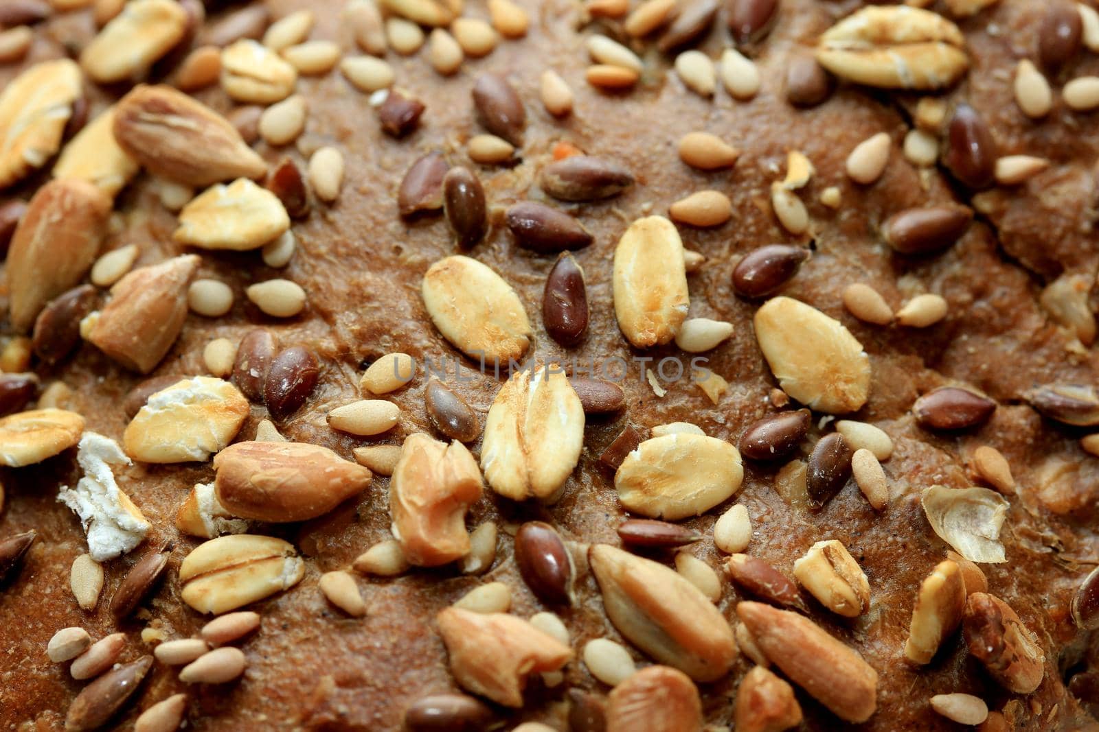 Whole grain sandwich, brown with seeds fresh from bake off, closeup