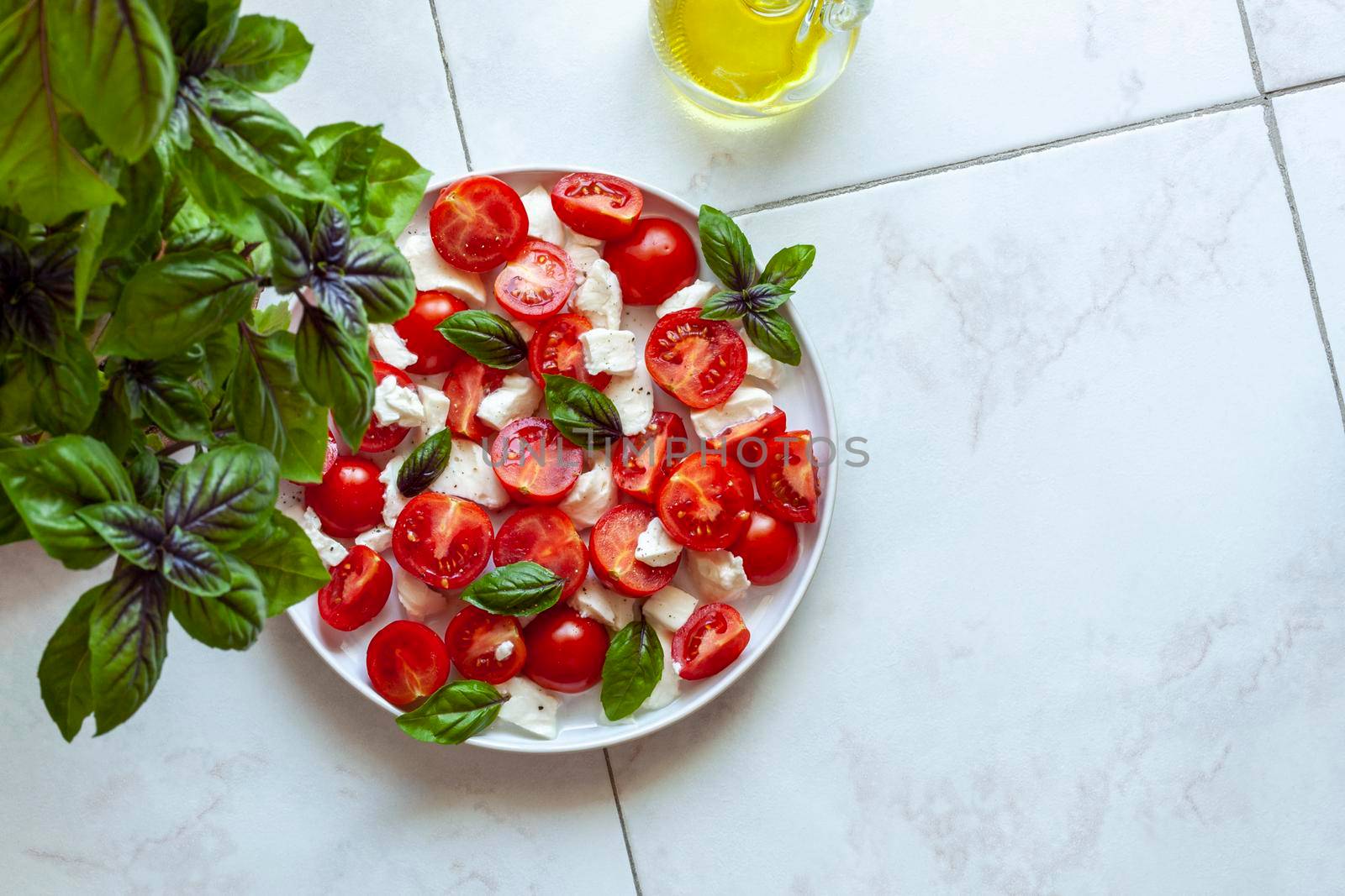 caprese salad under the home garden basil plant, top view, copyspace