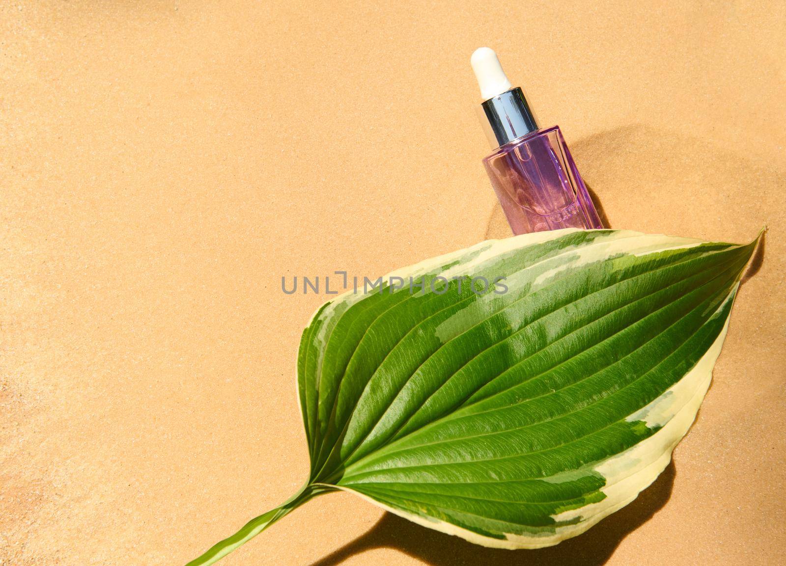 Close-up. Minimalist still life art with a green leaf of a lily of the valley flower and a light purple jar with anti-aging serum with a dropper, lying down on a sandy background, with copy ad space