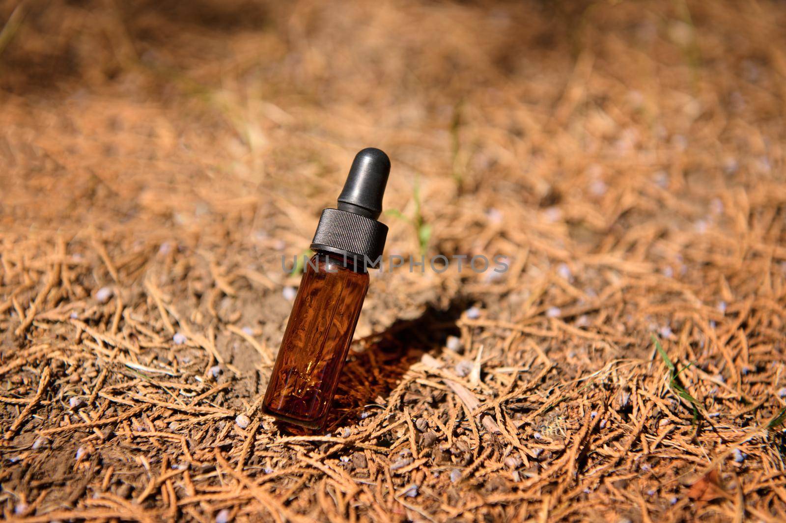Minimal background for presentation an Anti-aging serum with collagen and peptides packaged in dark glass vial, on the fallen dry pine needles, with sunlight and a shadow from coniferous trees