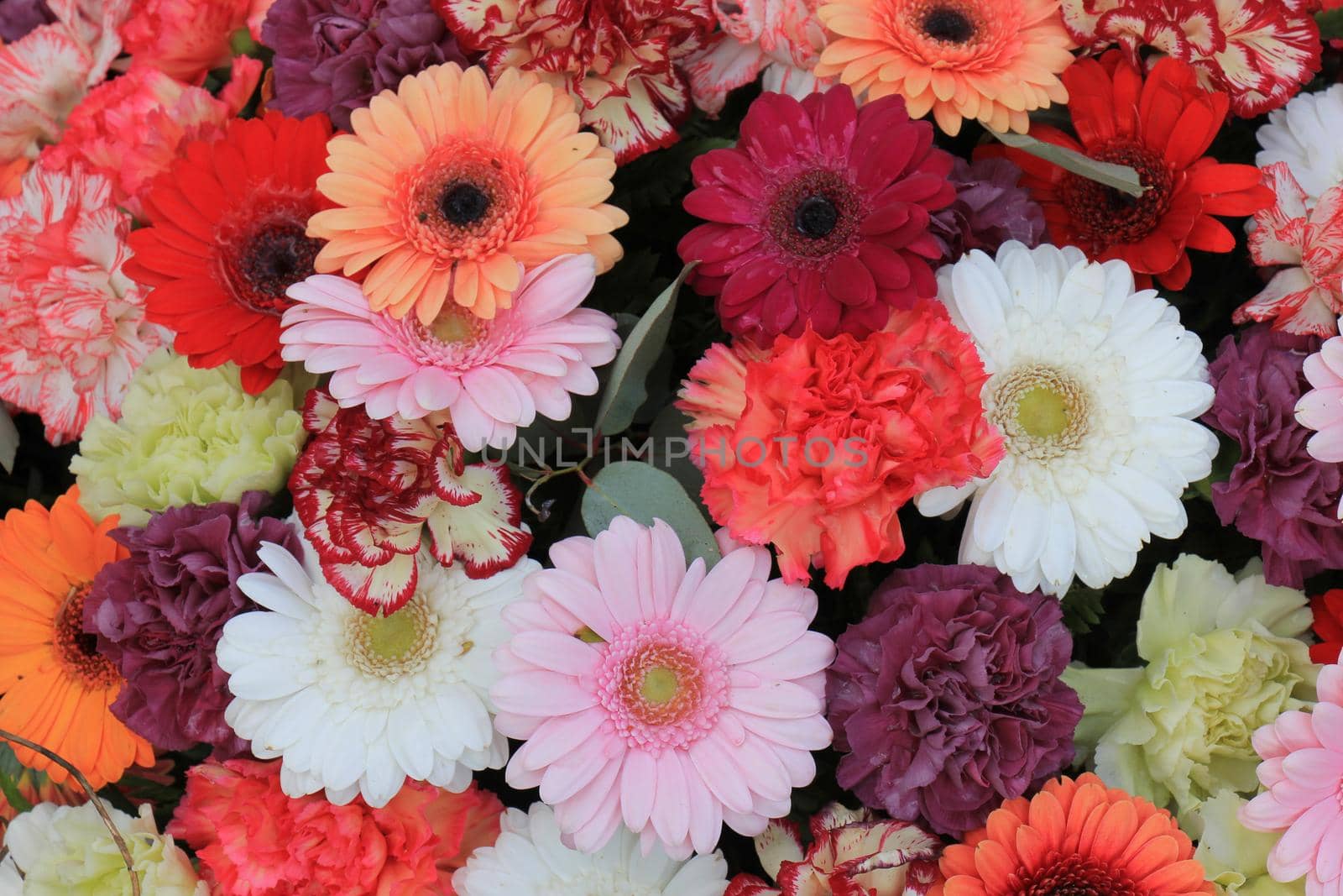 Mixed flower arrangement: various gerbers in different colors for a wedding by studioportosabbia