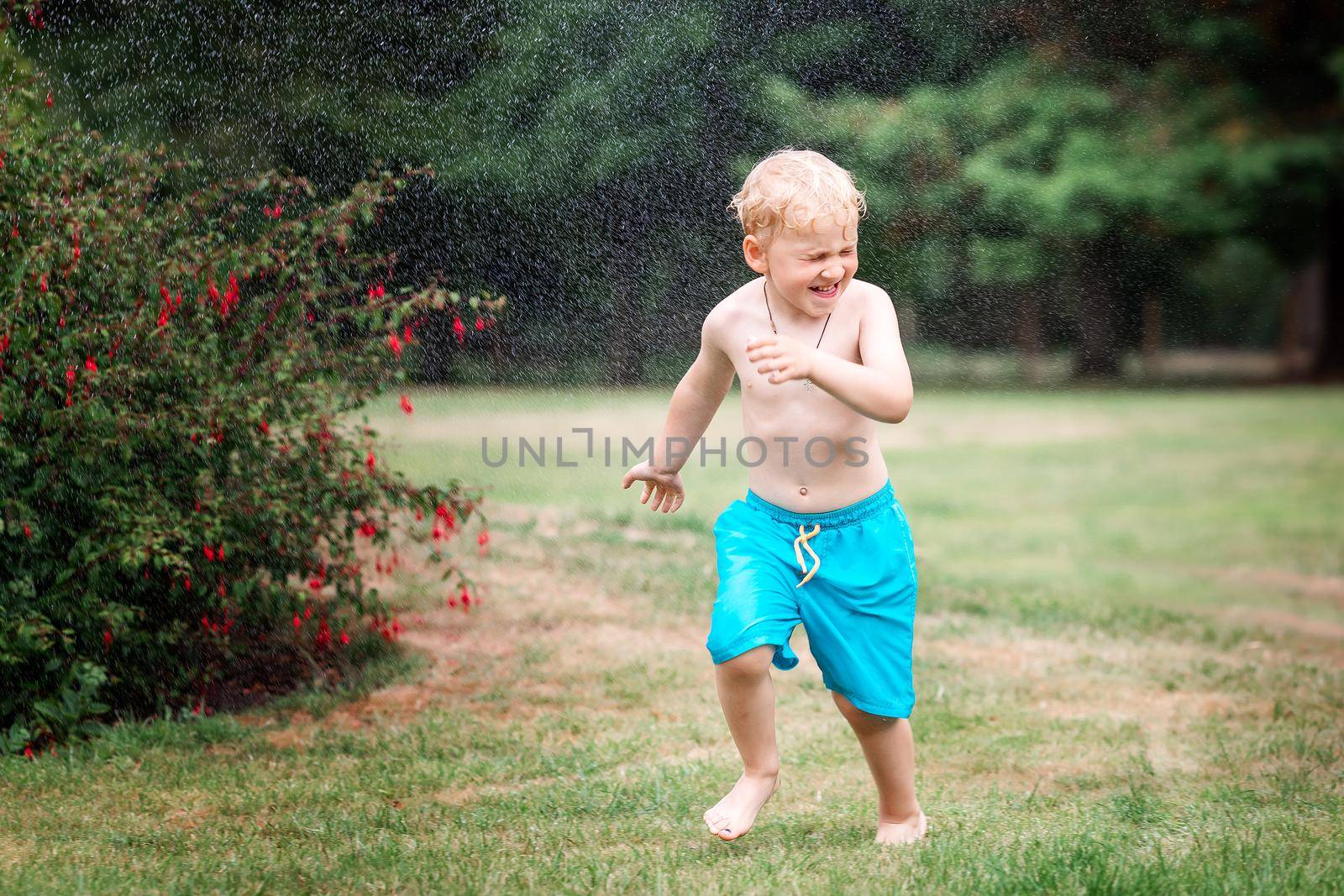 Little kid playing with water on hot summer day. Boy with garden sprinkler. Boy runs on a field under water drops. by Len44ik