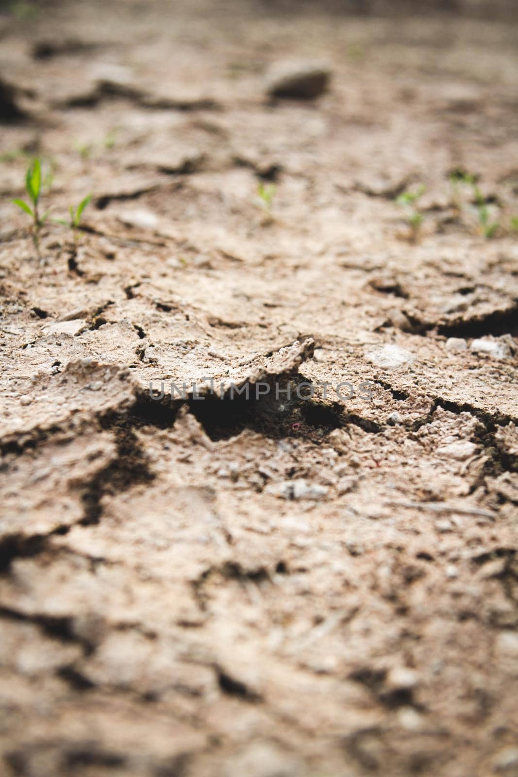 Dried desert land. Cracks in the ground. Dehydrated soil. Deep cracks and drought.