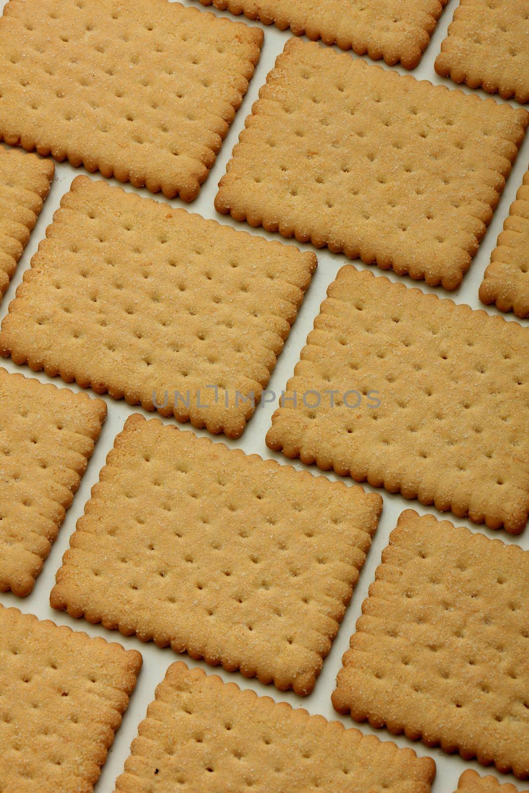 Plain biscuits in a brick pattern, cookie wall by studioportosabbia