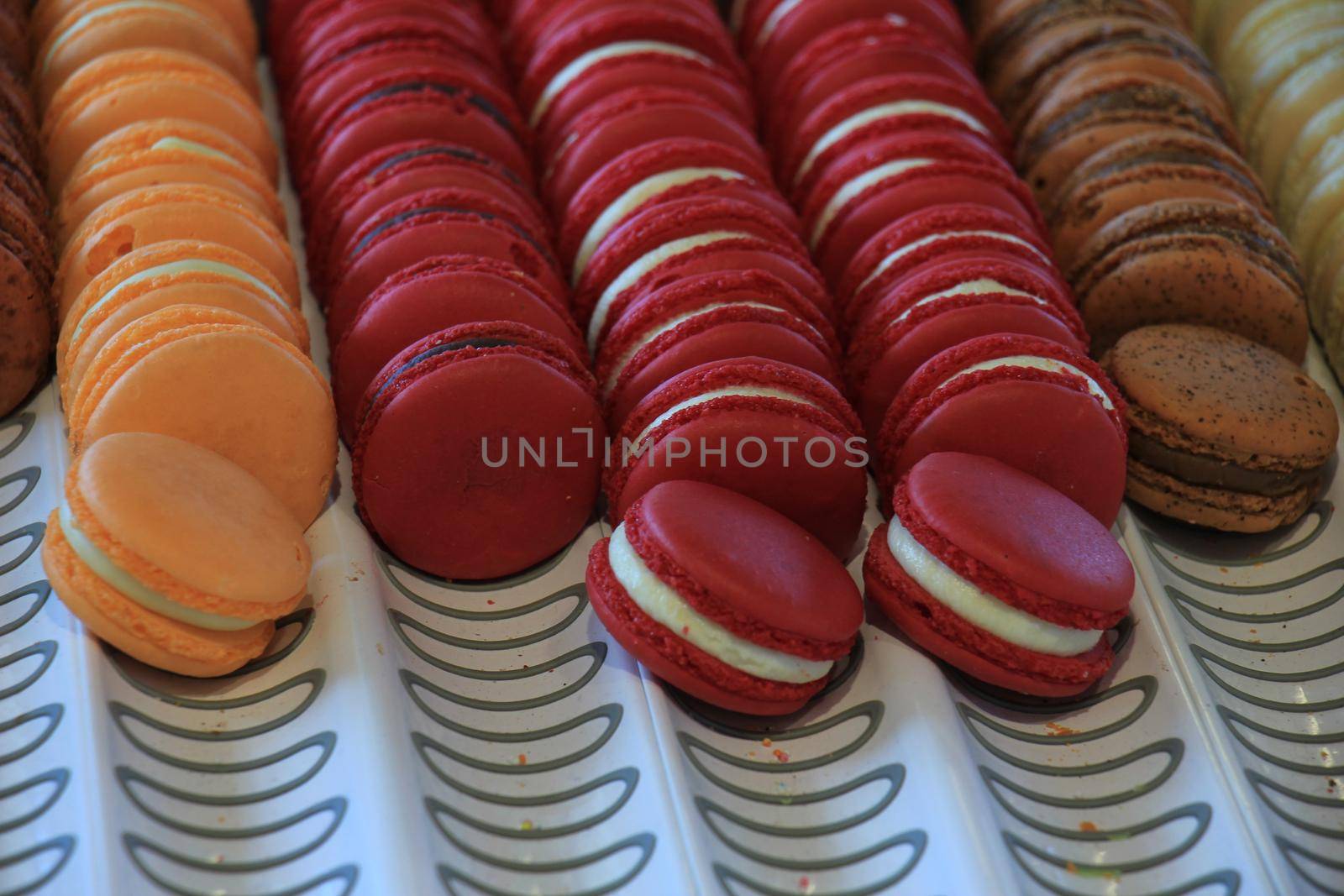 Macarons in various flavors and colors on display in a store by studioportosabbia