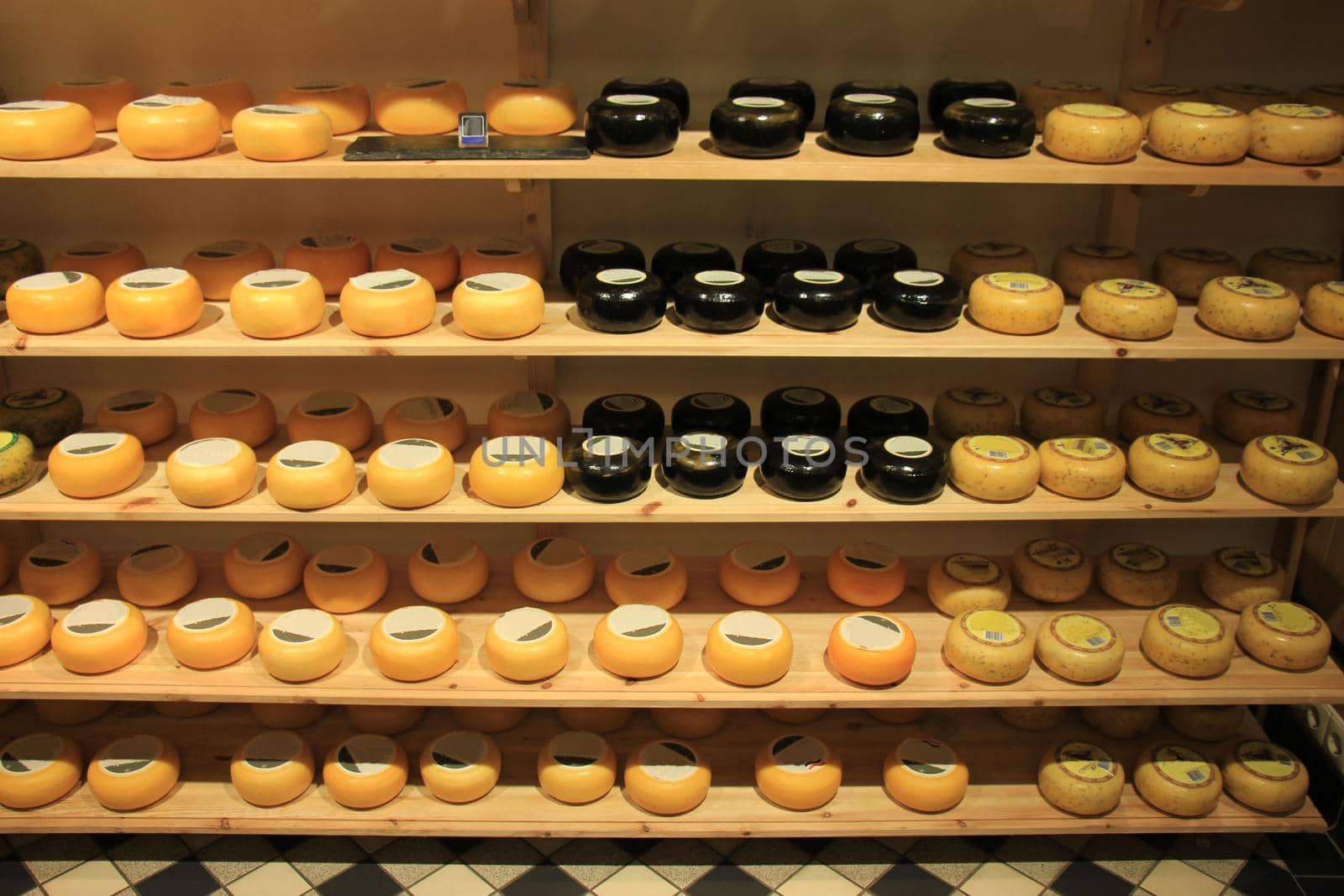 Traditional Dutch cheeses on display in a store