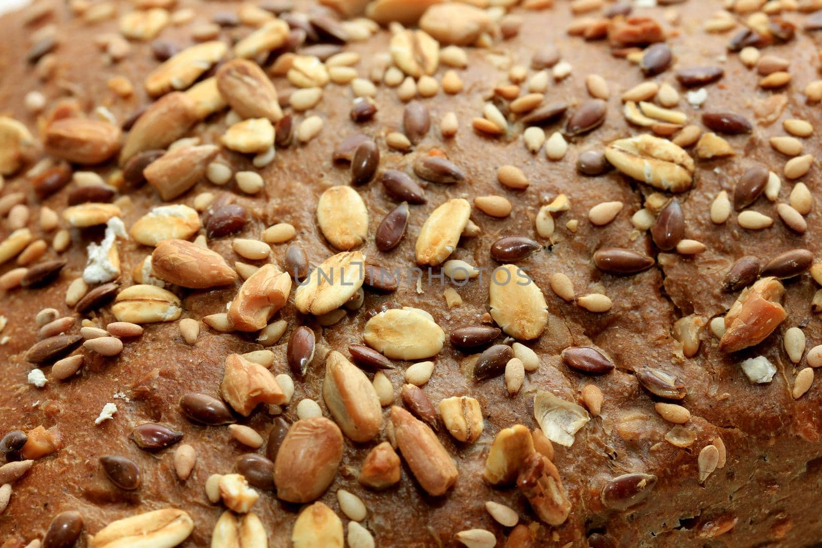 Whole grain sandwich, brown with seeds fresh from bake off, closeup
