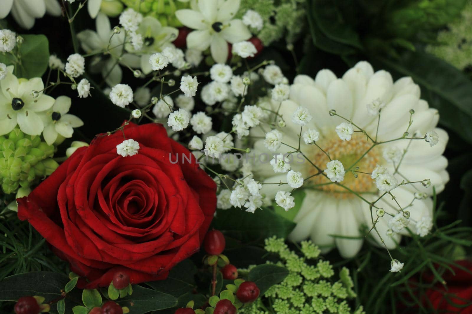 Classic red and white bouquet by studioportosabbia