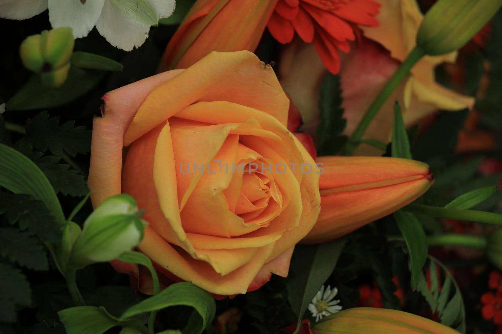 Orange rose and lily in a wedding bouquet