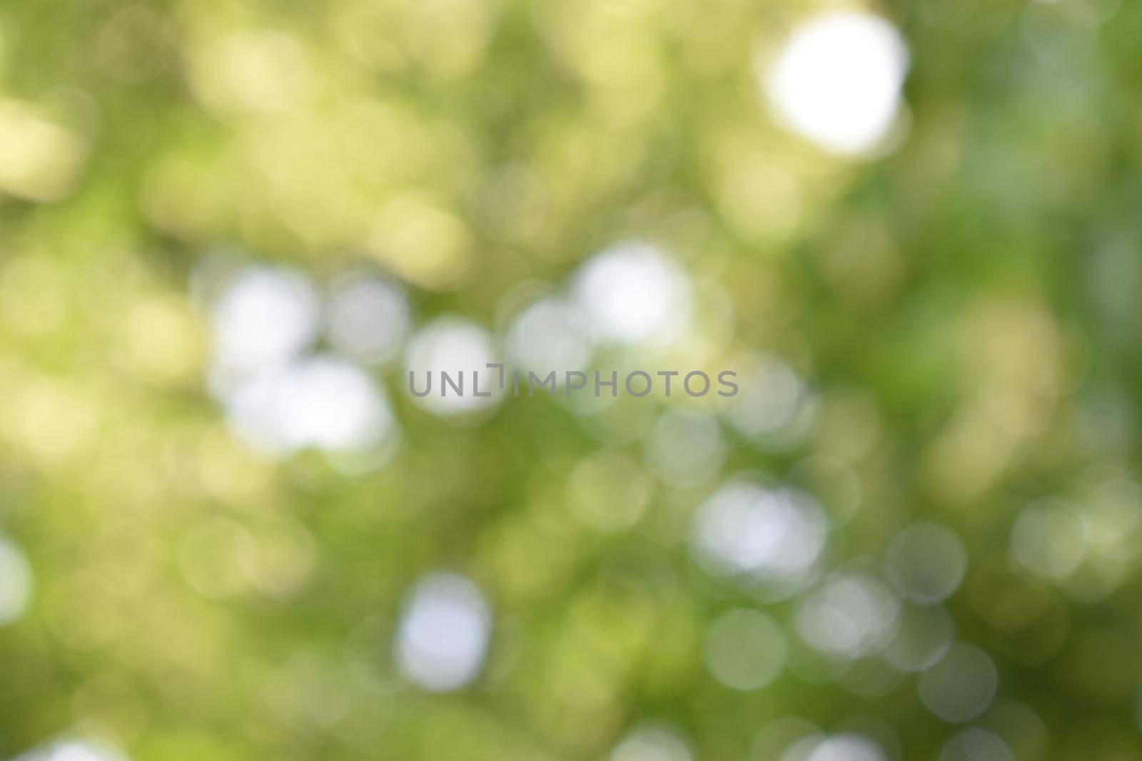 Green bokeh soft background, great for your background by VeekSegal