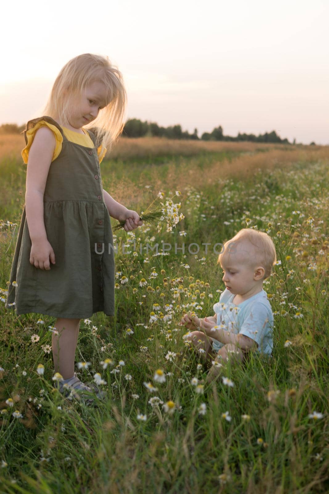 A little boy and a girl are picking flowers in a chamomile field. The concept of walking in nature, freedom and a healthy lifestyle. by Annu1tochka