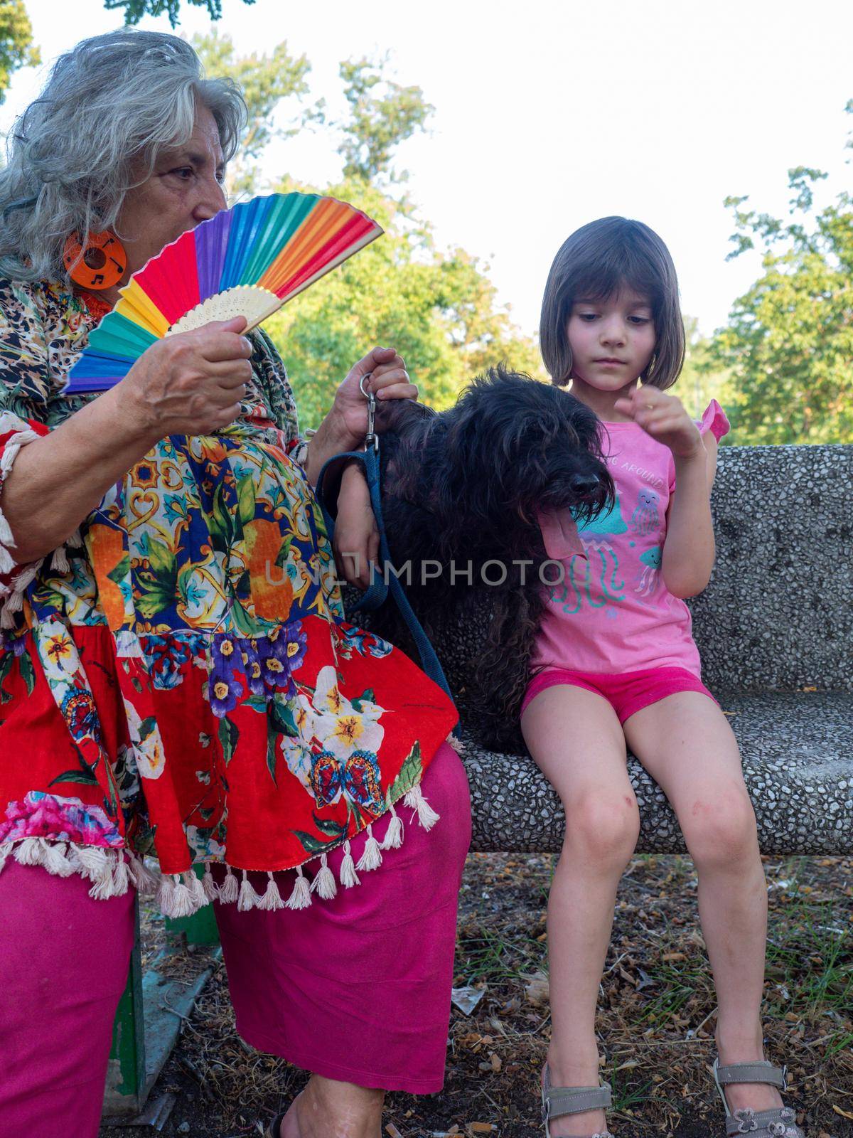 Trendy senior lady and her little grand daughter enjoying a park with their terrier dog - Grandmother and granddaughter happy together a sunny day